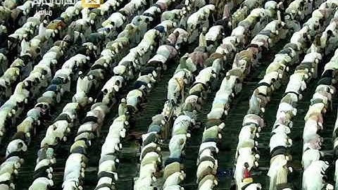 صلاة العشاء الأربعاء 30-4-1439هـ الشيخ فيصل غزاوي - من سورة المائدة