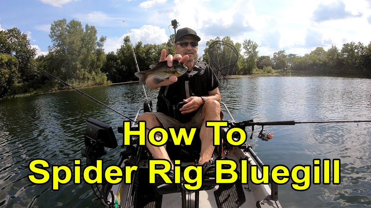 How To Spider Rig For Bluegill 