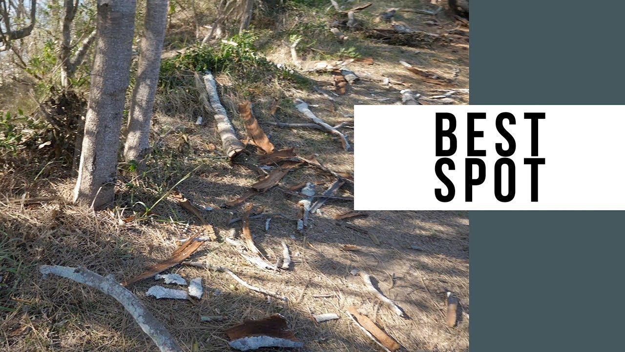 cca The Best Spot For Firewood In Culburra Beach