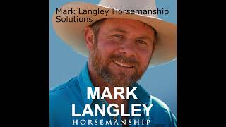 Steps in Preparing an 8yr old horse to be Ridden
