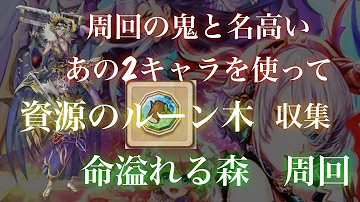 白猫 命あふれる森