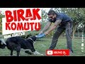 Köpeklere Bırak Komutu Nasıl Öğretilir