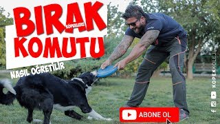 Köpeklere Bırak Komutu Nasıl Öğretilir