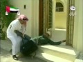 طاش ما طاش حمار هههههههههههه 