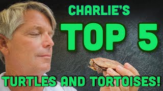 TOP 5 Turtles and Tortoises, with Charlie Moorcroft!!