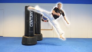 Taekwondo Kicking Sampler | Martial Arts Training on Century Wavemasters | Ginger Ninja Trickster