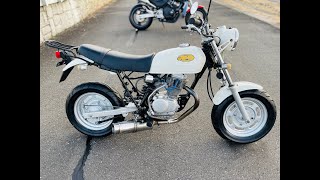 Ape 100 - YouTube
