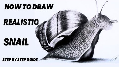 How to Draw Snail |  Easy Realistic Drawing | Step-by-step Tutorial for Beginner #snail #realistic
