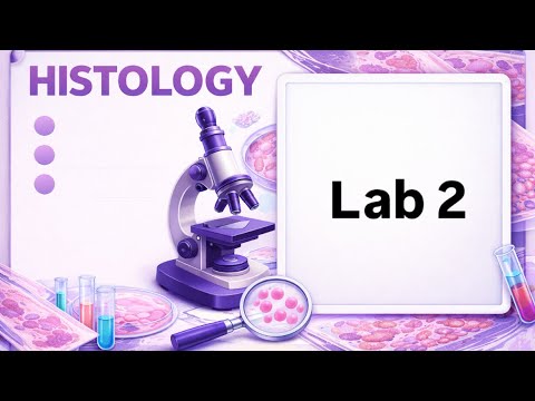 Lab 2