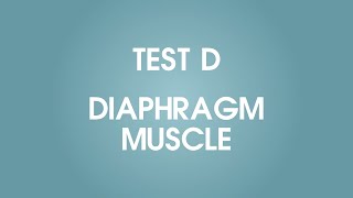 Test D | Diaphragm muscle