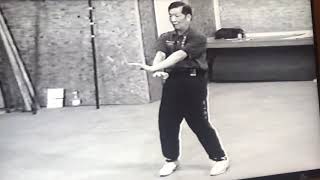 .GM 葉正宗師 lp Ching demonstrates Diu Lim Tau form