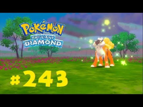 6IV Shiny Raikou Pokemon Brilliant Diamond and Shining Pearl