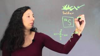 Information on Sulfur Atoms : Chem Class