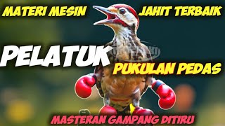MASTERA PELATUK MATERI MESIN JAHIT TERBAIK || PELATUK BAWANG GACOR || PELATUK SAMPIT GACOR