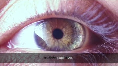 What does Pupillometry reveal about stressful listening?