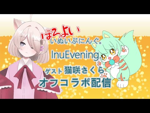 【雑談】ほろよい いぬいぶにんぐ。  InuEvening.「今日はオフコラボです」【VTuber】