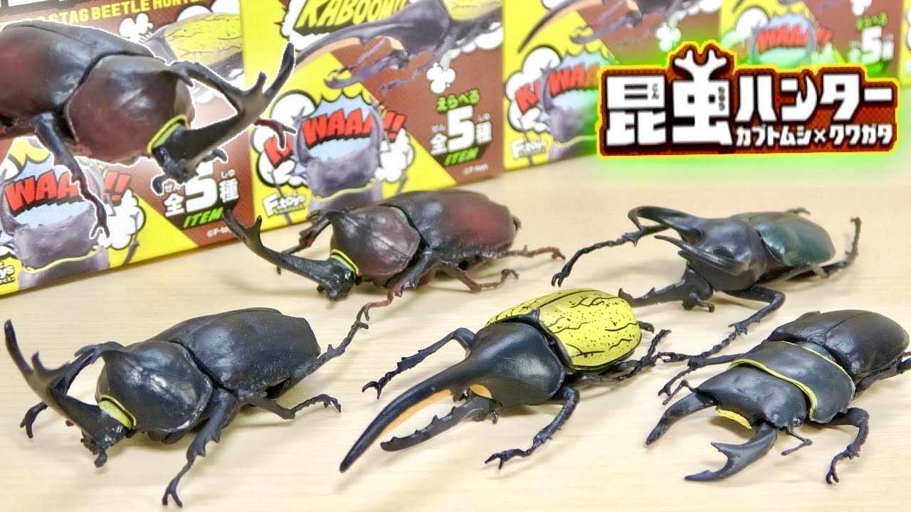 Summer is coming! Insect Hunter Beetle x Stag Beetle Hercules Longhorned  Beetle