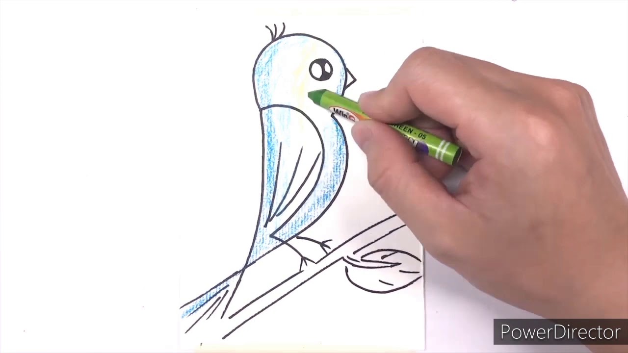 Ta3lim Rasm اتعلم الرسم - learn art - YouTube