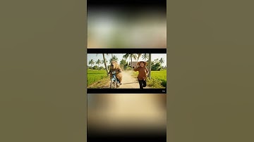 Capy chạy xe phá làng và cái kết #capybara