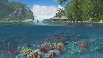 [3PlaneSoft] Caribbean Islands - 1 Hour Session