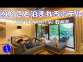 【高級】軽井沢へ柴犬と旅行!犬と泊まれる宿が贅沢すぎて最高だった【豆柴ころた】Shiba Inu staying at a luxury hotel
