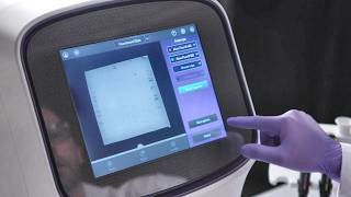 How to Detect Proteins with Fluorescent Western Blotting