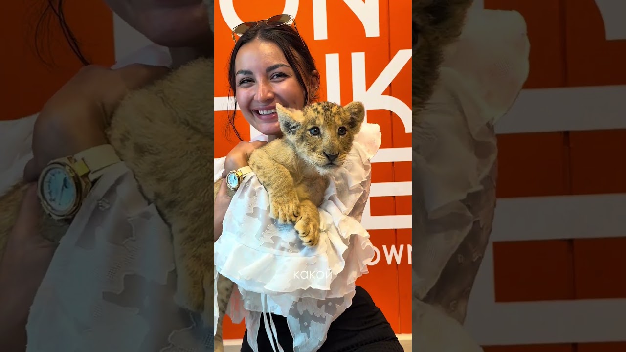 Обнять симбу в реальности???😍