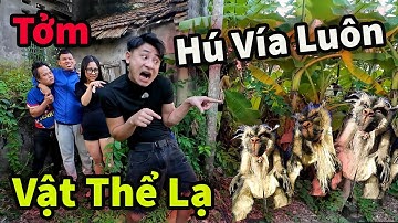 Hậu Cáo Và My Tóm Sống Vật Thể Lạ Suýt Niệm || Khét Luôn !