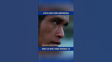 Cách ngư dân Indonesia săn Cá nhà táng khổng lồ
