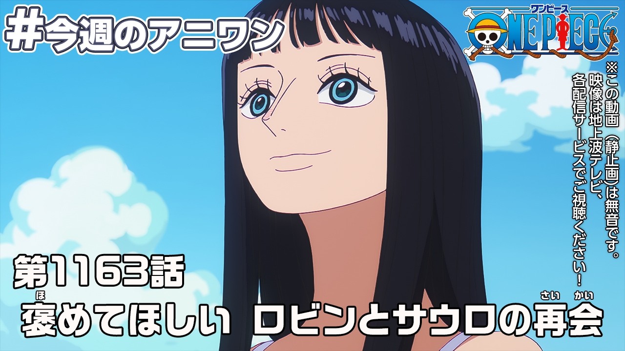 今週のアニワン「褒めてほしい ロビンとサウロの再会」 ONE PIECE 1163