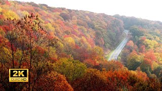 3 Hours of Enchanting Autumn Nature Scenes - Relaxing Piano Music for Stress Relief