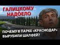 Галицкому надоело. Почему в парке «Краснодар» вырубили шалфей?