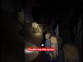 His Phone Rings Next to a Sleeping Bear… and Everything Turns Terrifying.