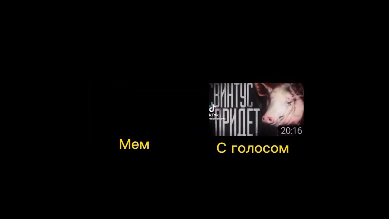 Свинтус придёт, но версия с голосом - YouTube