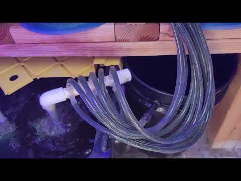 hydroponics overflow bucket