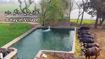 Beautiful Village in Pakistan | Best Lifestyle