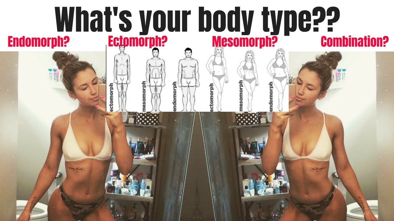 BODY TYPES mesoendoecto what are you?! Karen O'Connell KO Fitness