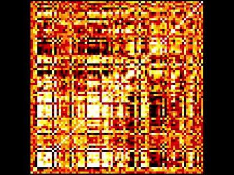 Dynamic functional network connectivity -- output of crude script