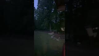 The Sounds of Spring…Whippoorwill, Barred Owl and Wild Turkeys Goblin