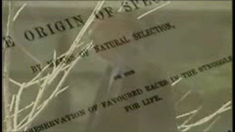 DNA Random Natural Selection