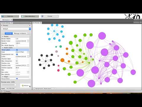 Tutorial Menggunakan Gephi: Directed Network