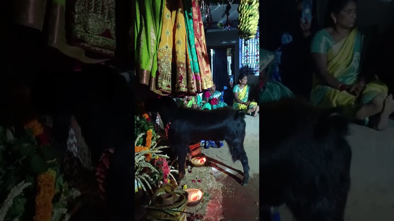 Ankaboyina.Ramana golla chadhuvu, gummapadu village,7032970610 please contact me