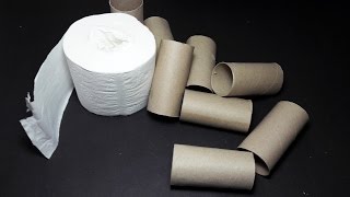 |DIY| 3 Creative Ideas With Toilet paper roll |  Toilet Paper Roll Craft Ideas & Hacks