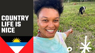 Country Life of Antigua | VLOGMAS DAY 13