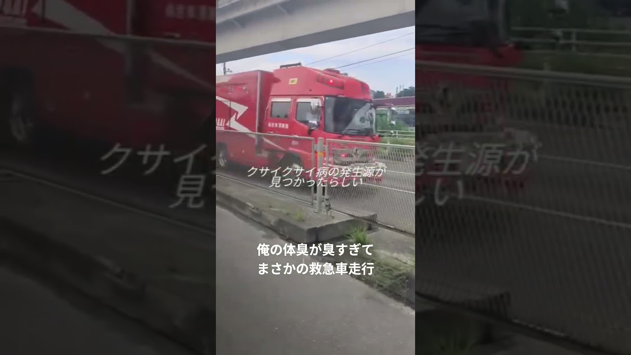【緊急】四大公害病に追加されました#人災#shorts