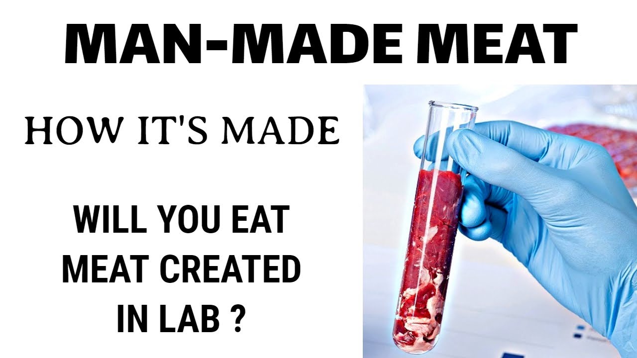 Lab Grown Meat  | Soon to be on Menu | How its Made | Wired Reality