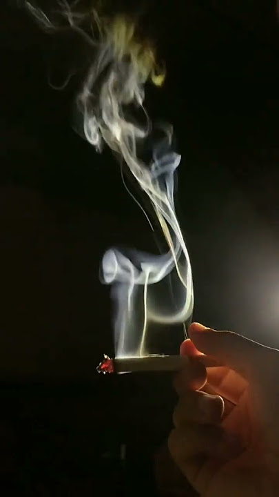 Sendiri Tanpah Keributan Dalam Pikirang Itu Sangatlah Tenang #vibes #rokok