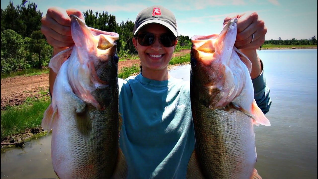 Topwater Bass Fishing Blowups Series 12 Land Shark Edition YouTube