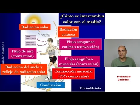 Vídeo: Qui manté la temperatura corporal?