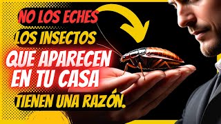 El VERDADERO SIGNIFICADO De Los Insectos Que Aparecen En Tu Hogar